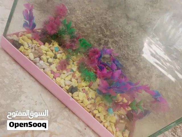 حوض سمك للبيع