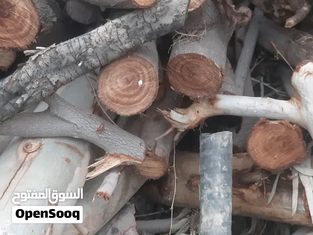 حطب مواقد ناشف زيتون وأشجار مثمره مقطع قطع صغيره وقطع كبيره  للفنون والمناظر والتحف بسعر مناسب