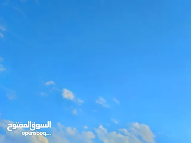 السلام عليكم مطلوب جاجه رابخه