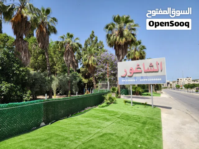 Commercial Land for Sale in Nablus Beit Iba