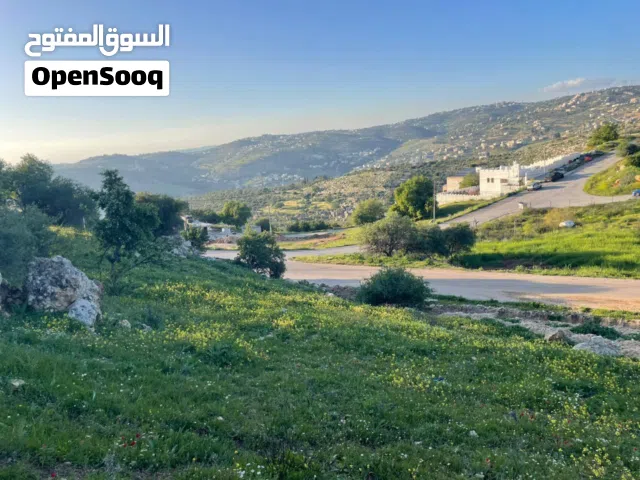 Residential Land for Sale in Amman Abu Al-Sous