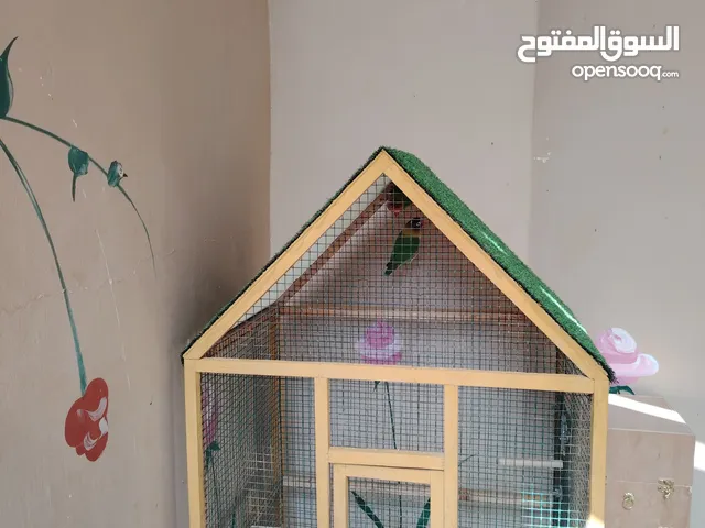 للبيع قفص كبير للطيور