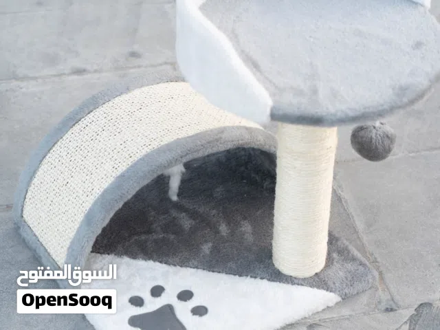 خداشات للقطط باقل الاسعار..خدمه التوصيل متوفره