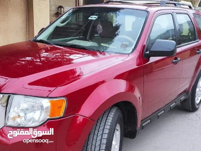 Used Ford Escape in Sulaymaniyah
