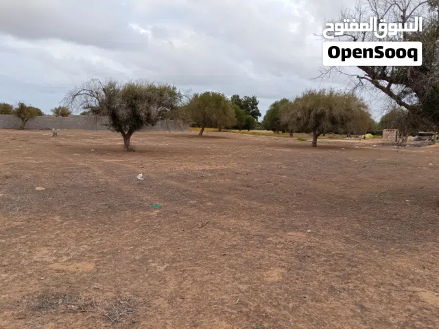Residential Land for Sale in Zawiya Western Zawiya