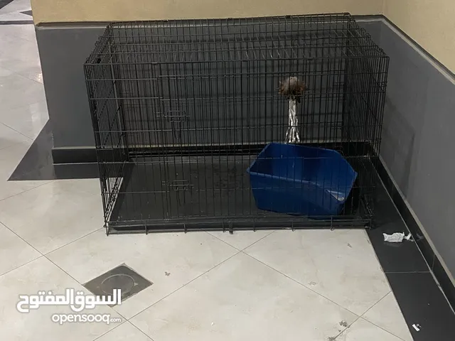 صندوق للقطط والكلاب