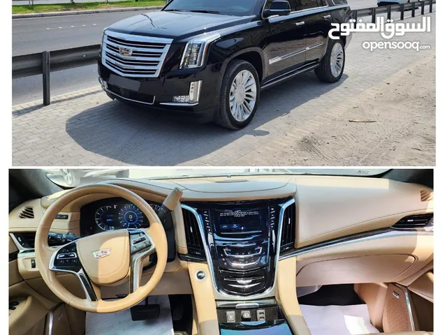 Used Cadillac Escalade in Muharraq