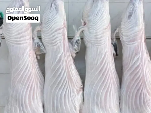 ذبح عجول وغنم