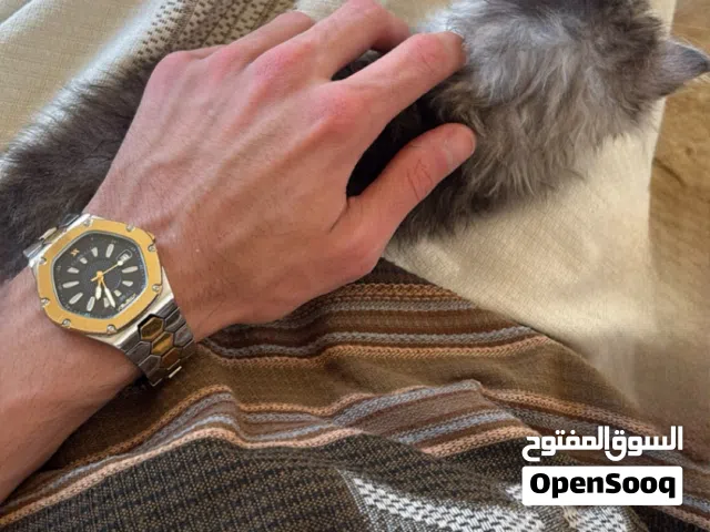 انثى شيرازي دلوعة ونظيفة
