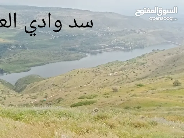 قطع اراضي مميزة مطلة على سد وادي العرب في ام قيس من المالك مباشرة