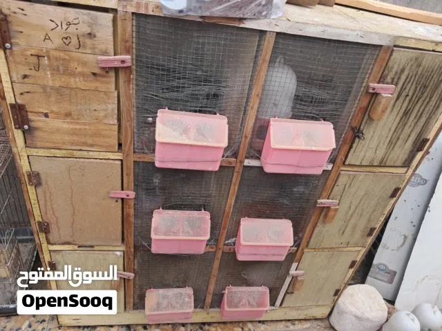 خانه ام 6 للبيع