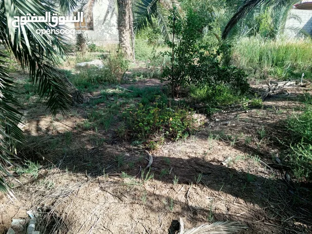 5 Bedrooms Farms for Sale in Basra Abu Al-Khaseeb