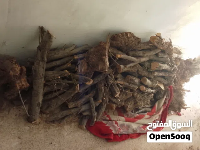 حطب زيتون للبيع ناشف ومقطع