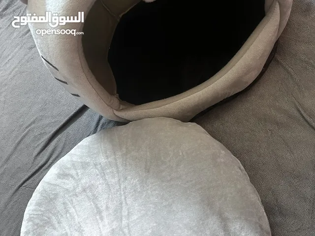 بيت للقططط