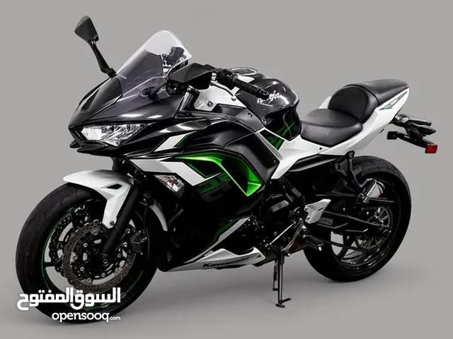 2022 Kawasaki Ninja 650