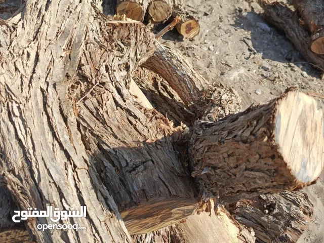 حطب غاف للبيع
