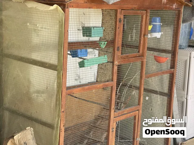 قفص عصافير اقرا الوصف