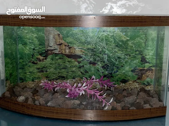 حوض سمك للبيع