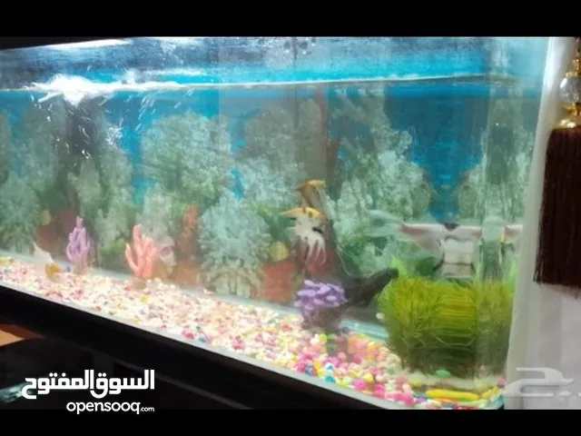 حوض سمك زينه كبير القزاز سميك وصلب.. ..طوله متر55