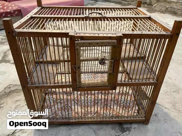 أقفاص طيور