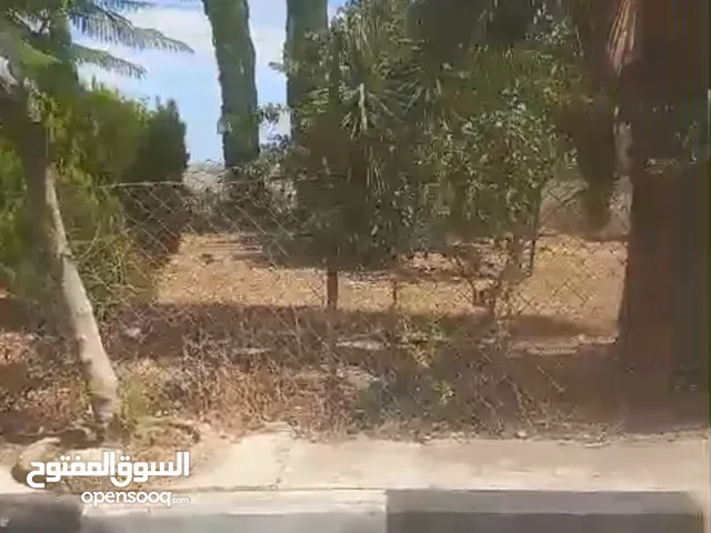 دونم ارض للببع للبيناء واصل كل الخدمات  في منطقه  بيت جالا