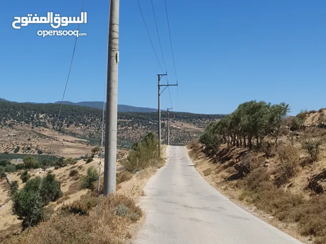 Mixed Use Land for Sale in Jerash Al-Majdal
