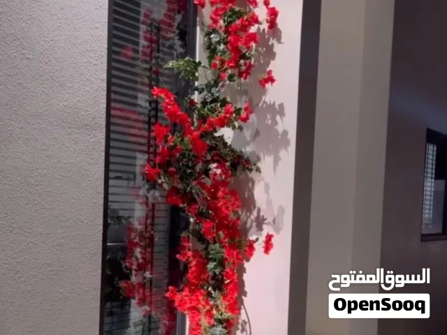 اشجار الجهنميه الصناعيه بالأمنار