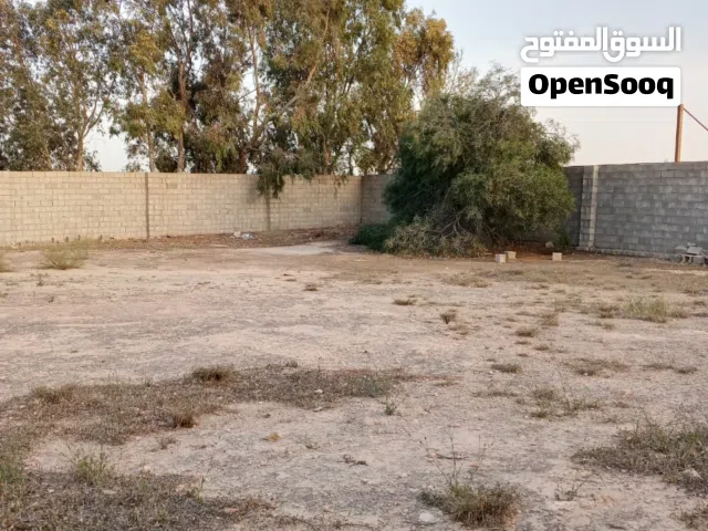 أرض سكنية أو إستثمارية