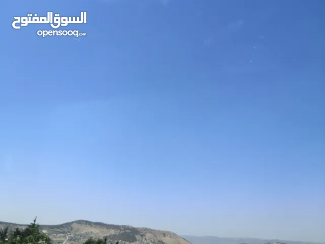 شريك سكن عمان