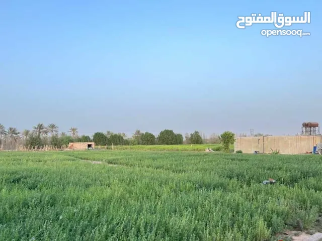 Farm Land for Sale in Abu Dhabi Al Rahba