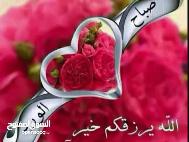 Other in Sidi-Bel-Abbes