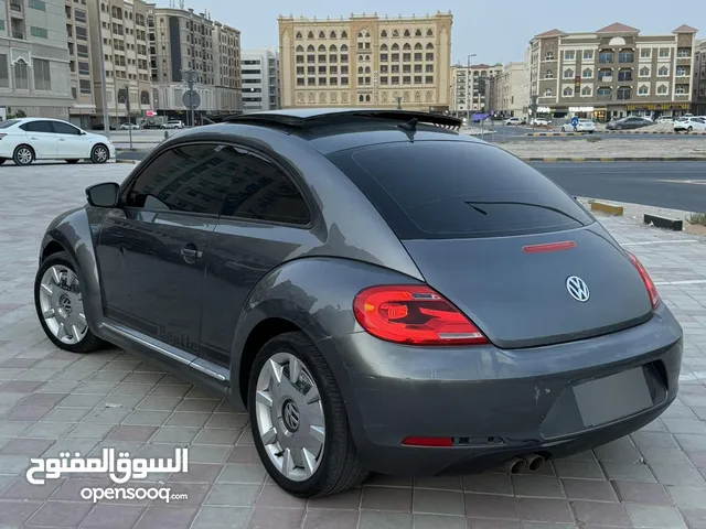 beautiful special VW Beetle