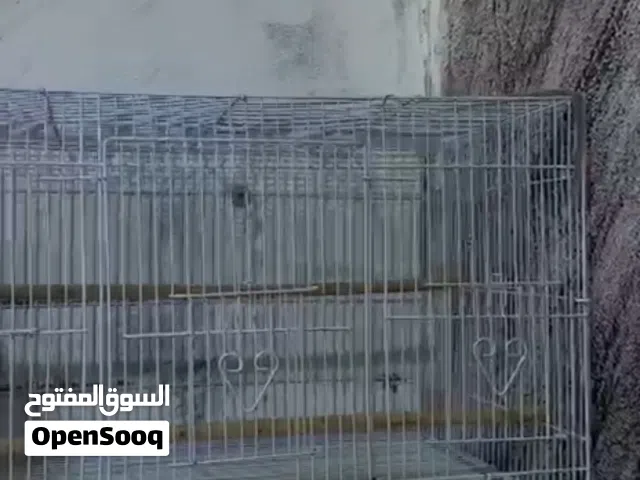 متوفر 5 اقفاص 6 بيبان وياه بيت تكاثر جاهز   الواحد بعدهن جدد استخدام شهر فقطط حديد