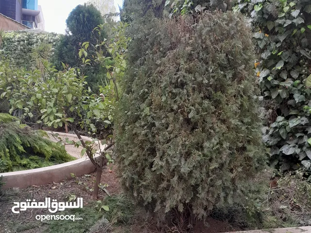 تنسيق الحدائق وقص الاشجار ورش الاشجار وتنظيف ساحات المنازل