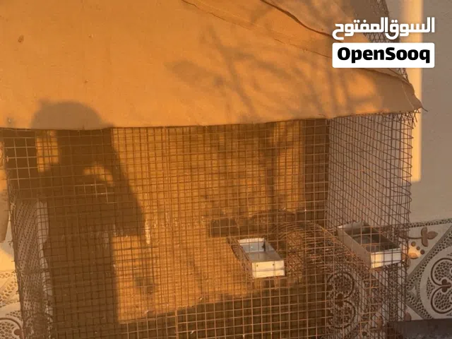 قفص كبير للبيع