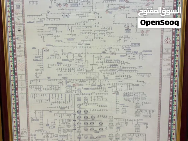 صور جميلة جداً