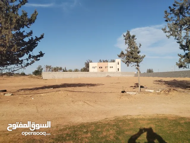 Residential Land for Sale in Tripoli Wadi Al-Rabi