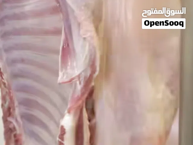 ذبايح بوسهيل مضمونة تحت طائلة المسؤولية توصيل لجميع المناطق