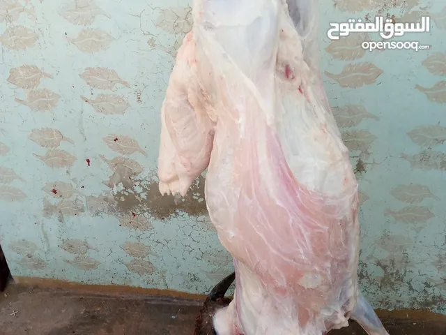 لحام منزلي متنقل لذبح كافة الاضاحي والعقائق والنذور