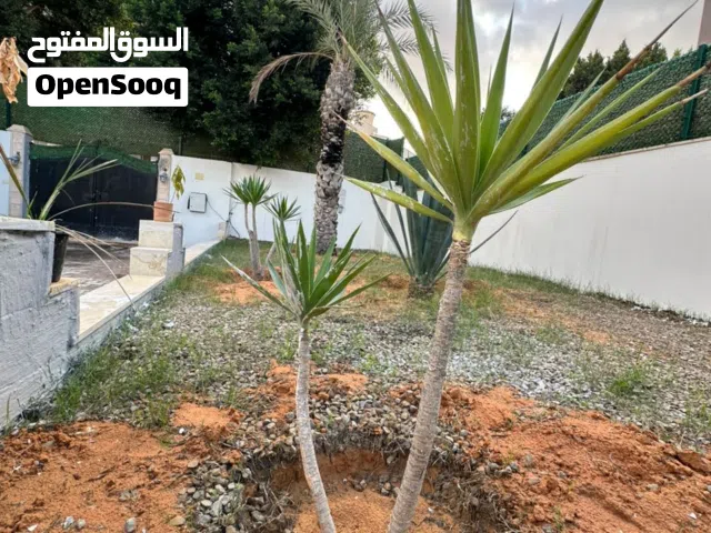 منزل للبيع خله الفرجان