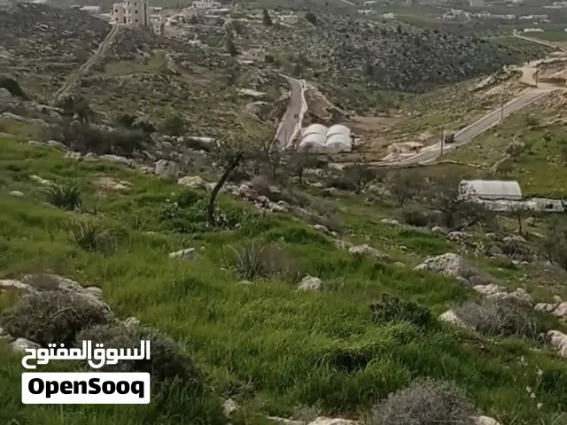 ارض في دورا خلة وحشة (الصرة)