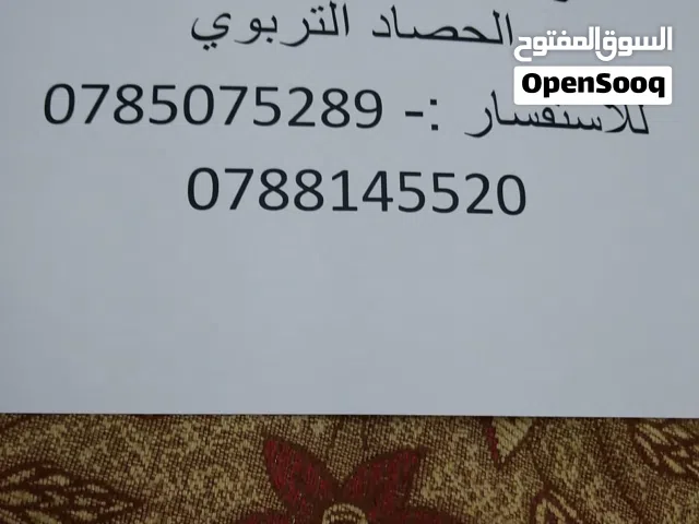 مخزن يحتوي على غرفتين وحمام بمساحة 50م لايجار
