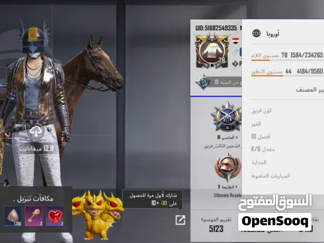 Pubg Accounts and Characters for Sale in Yanbu