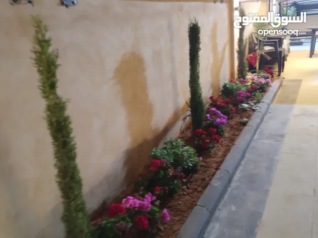 2 Bedrooms Chalet for Rent in Amman Husban