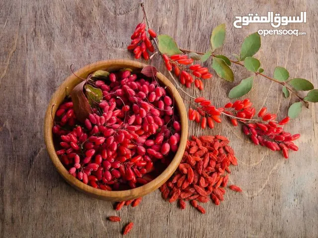 زرشک الممتاز الإيراني