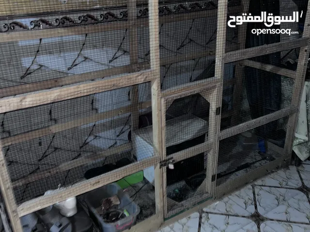 قفص طيور للبيع