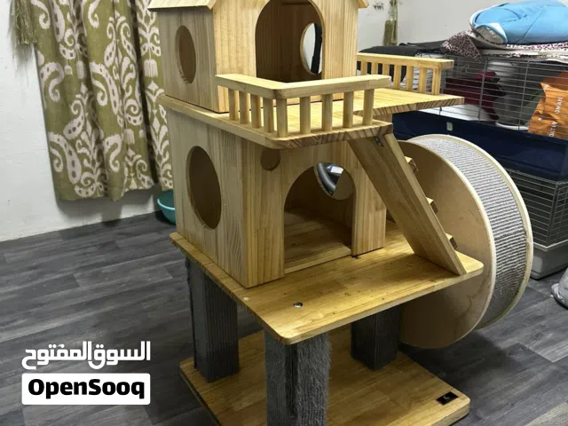 House cat for fur babies