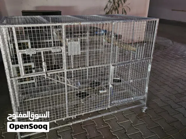 اققاص عصافير ودجاج حجم كبير جدا