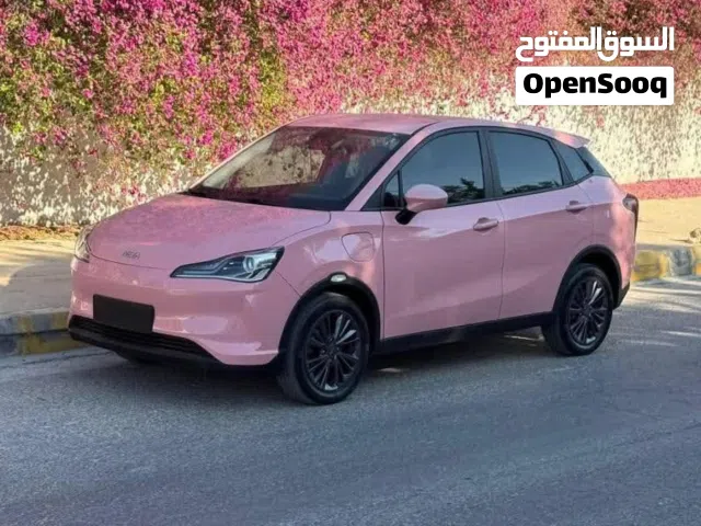 2022 Neta V Pro