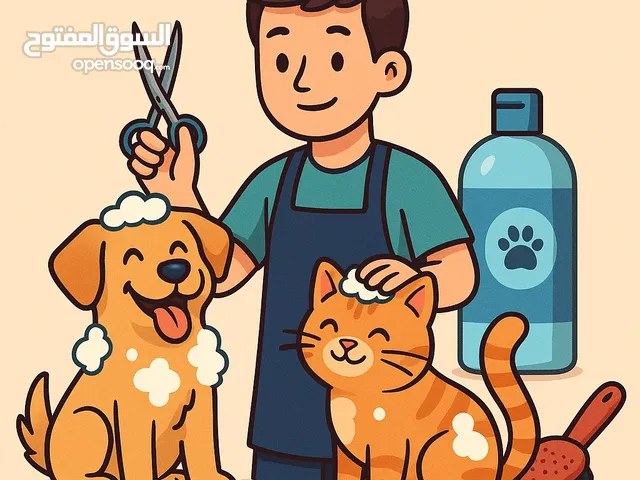 خدمه العنايه بالقطط و الكلاب